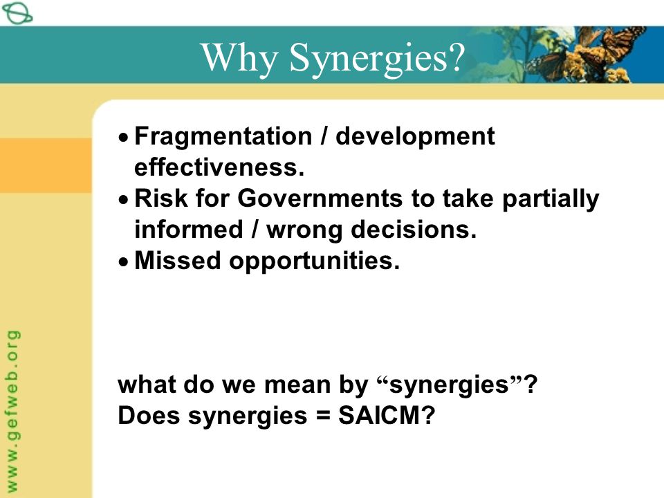 Why Synergies.  Fragmentation / development effectiveness.