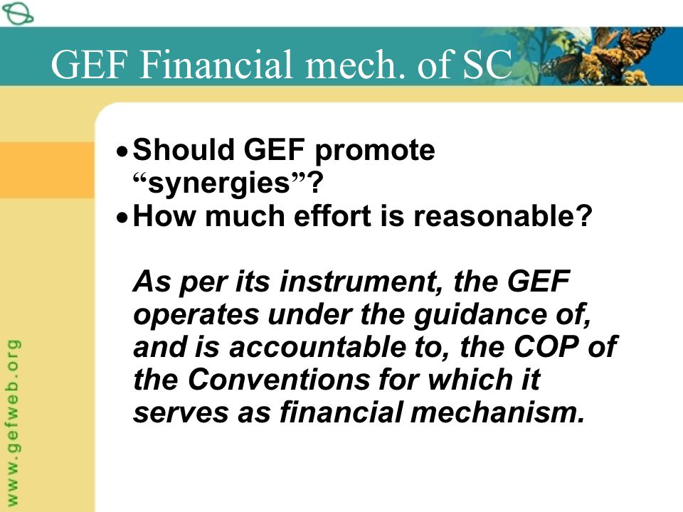 GEF Financial mech. of SC  Should GEF promote synergies .