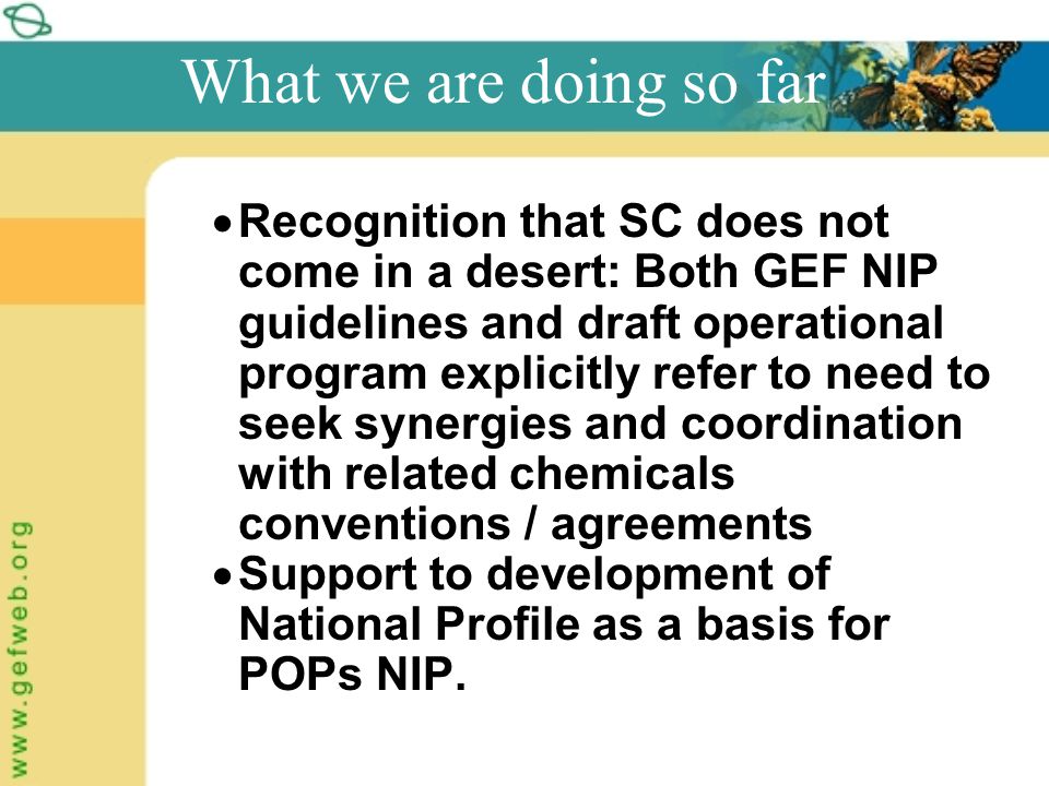 What we are doing so far  Recognition that SC does not come in a desert: Both GEF NIP guidelines and draft operational program explicitly refer to need to seek synergies and coordination with related chemicals conventions / agreements  Support to development of National Profile as a basis for POPs NIP.