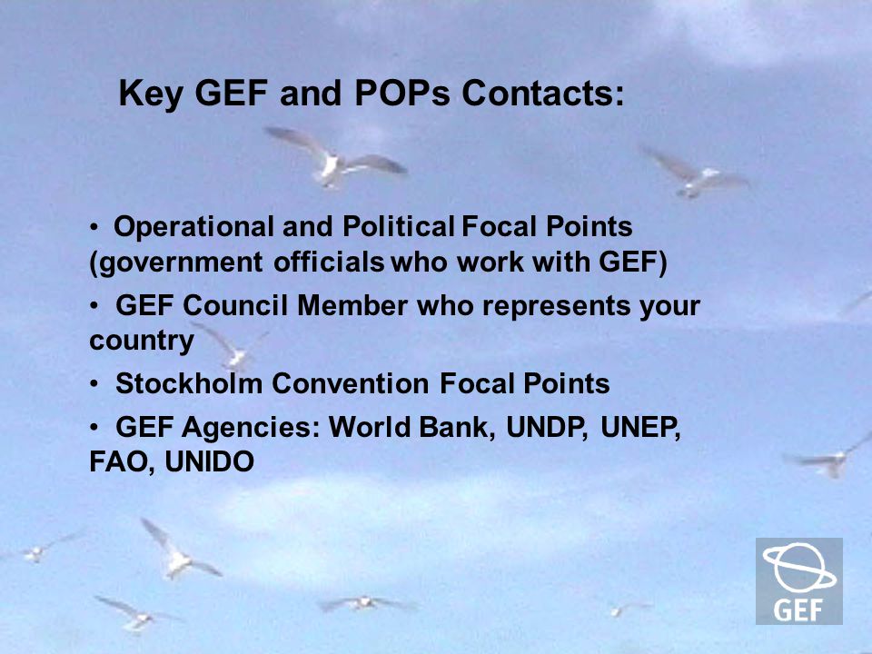 Operational and Political Focal Points (government officials who work with GEF) GEF Council Member who represents your country Stockholm Convention Focal Points GEF Agencies: World Bank, UNDP, UNEP, FAO, UNIDO Key GEF and POPs Contacts: