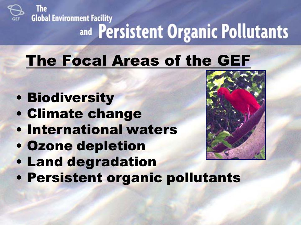 The Focal Areas of the GEF Biodiversity Climate change International waters Ozone depletion Land degradation Persistent organic pollutants