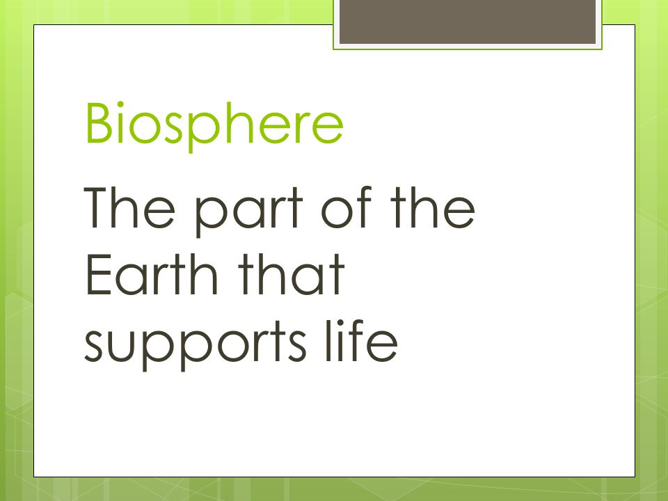 Biosphere The part of the Earth that supports life