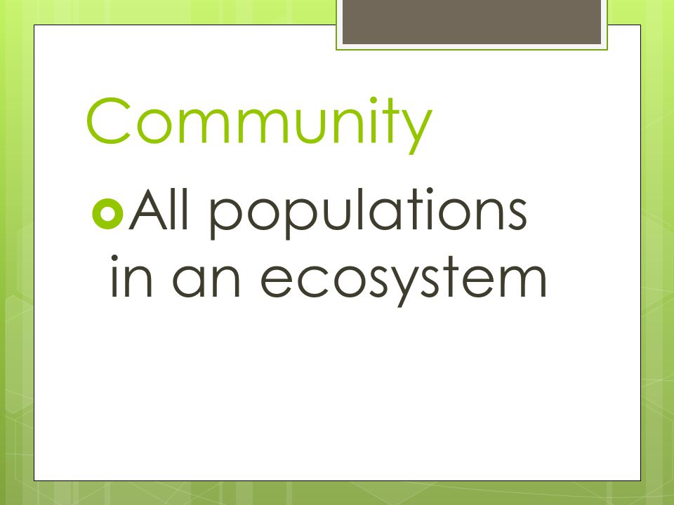 Community  All populations in an ecosystem