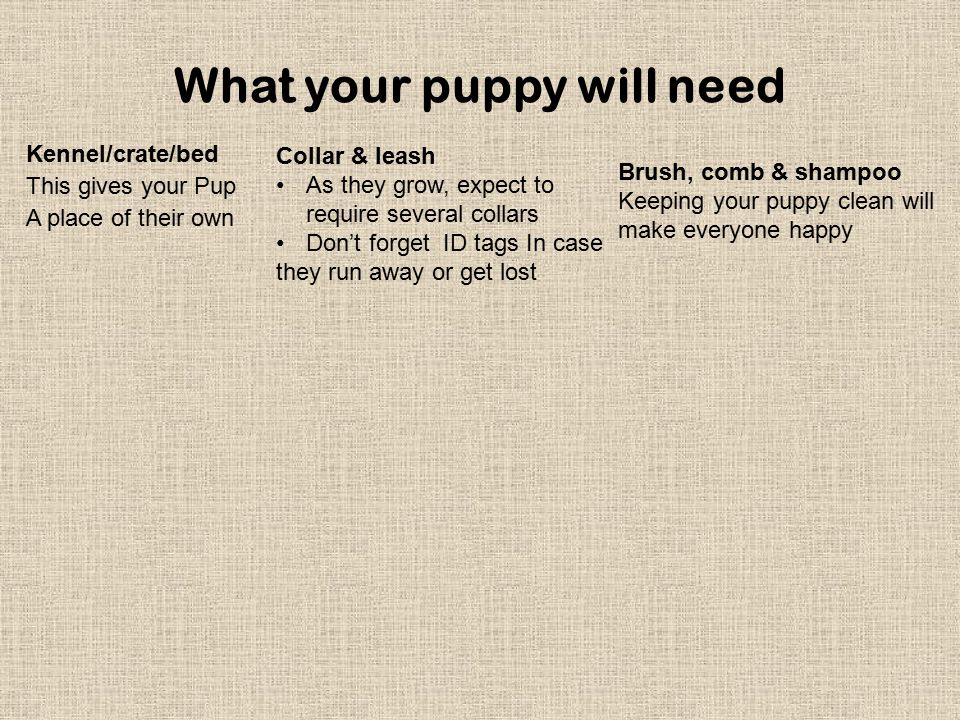 What your puppy will need Kennel/crate/bed This gives your Pup A place of their own Collar & leash As they grow, expect to require several collars Don’t forget ID tags In case they run away or get lost Brush, comb & shampoo Keeping your puppy clean will make everyone happy