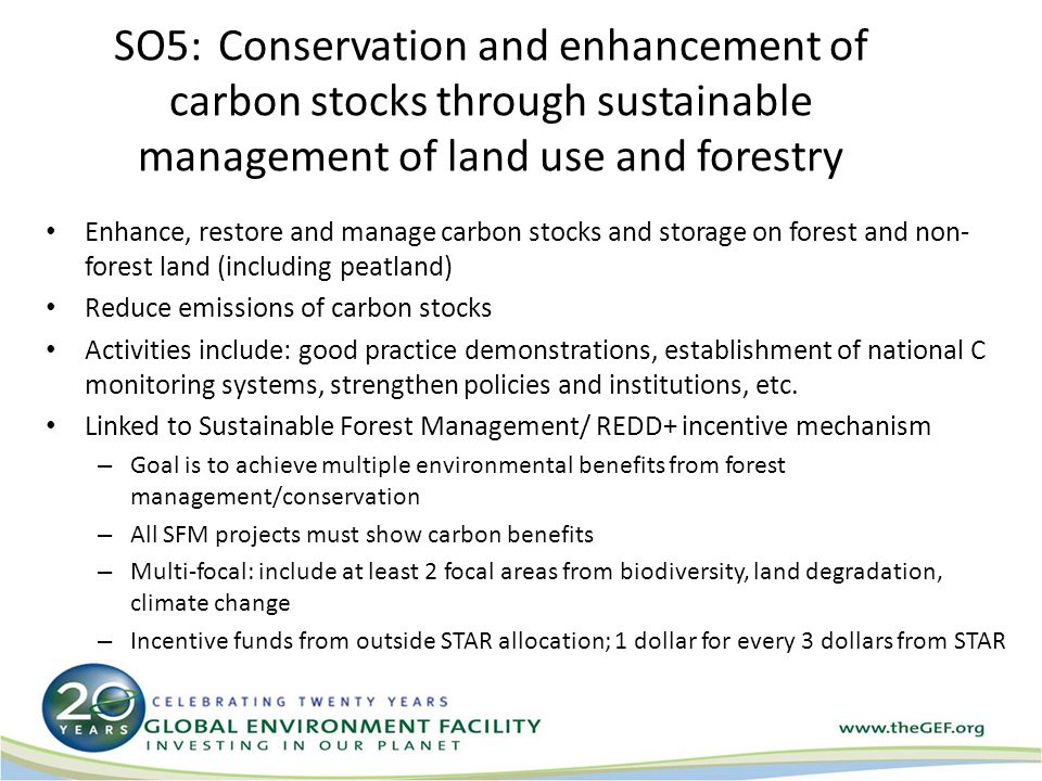 SO5:Conservation and enhancement of carbon stocks through sustainable management of land use and forestry Enhance, restore and manage carbon stocks and storage on forest and non- forest land (including peatland) Reduce emissions of carbon stocks Activities include: good practice demonstrations, establishment of national C monitoring systems, strengthen policies and institutions, etc.
