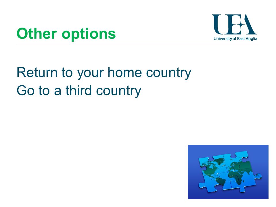 Other options Return to your home country Go to a third country