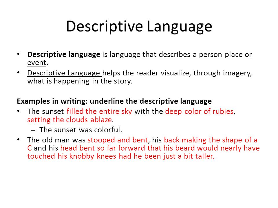 a hrefhttpdeskbeksanimportscomdescriptive descriptive essay descriptive essay on a person