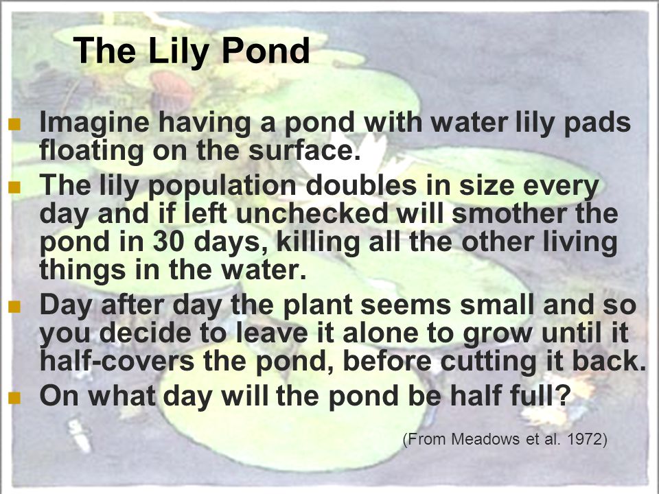 The Lily Pond Imagine having a pond with water lily pads floating on the surface.