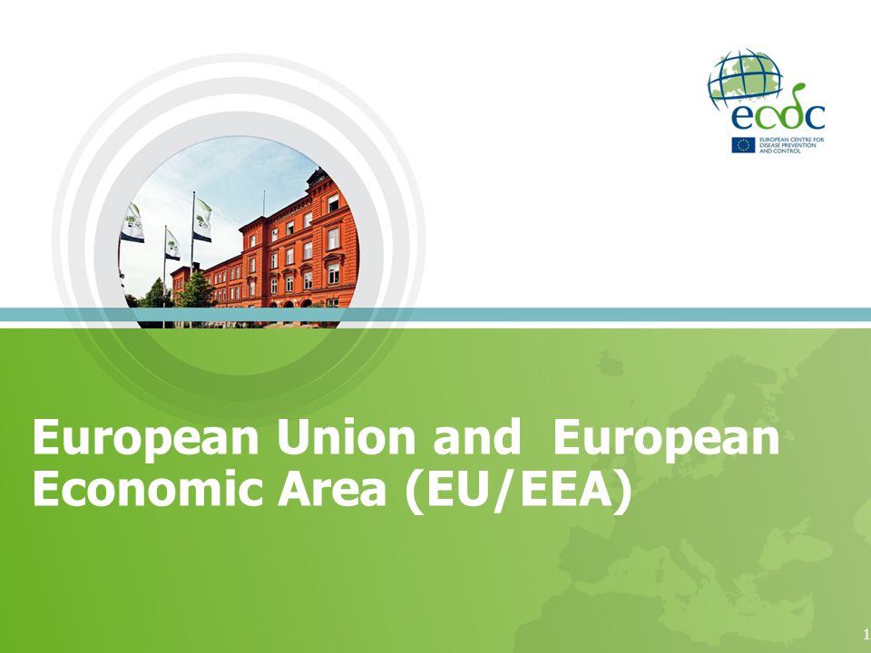 European Union and European Economic Area (EU/EEA) 1