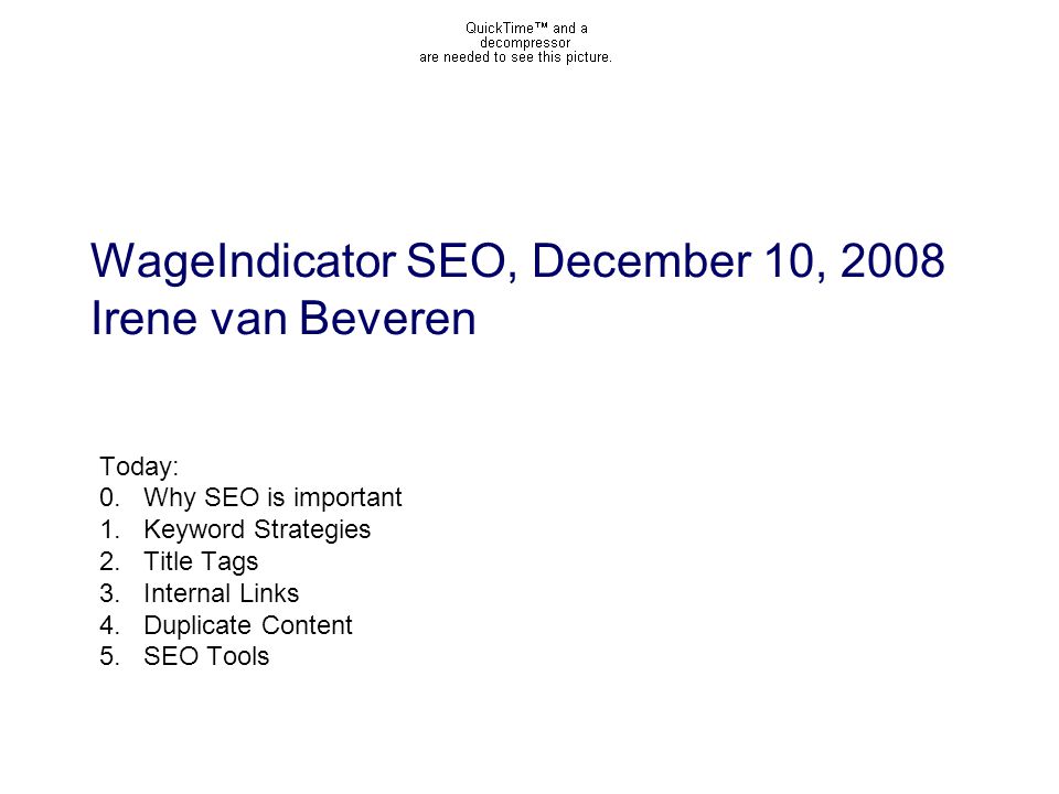 WageIndicator SEO, December 10, 2008 Irene van Beveren Today: 0.Why SEO is important 1.Keyword Strategies 2.Title Tags 3.Internal Links 4.Duplicate Content 5.SEO Tools