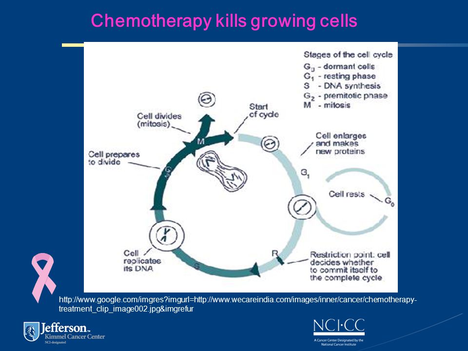 Chemotherapy kills growing cells   imgurl=  treatment_clip_image002.jpg&imgrefur