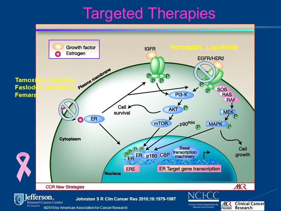 Johnston S R Clin Cancer Res 2010;16: ©2010 by American Association for Cancer Research Herceptin, Lapatinib Tamoxifen, Arimidex, Faslodex, Aromasin, Femara Targeted Therapies