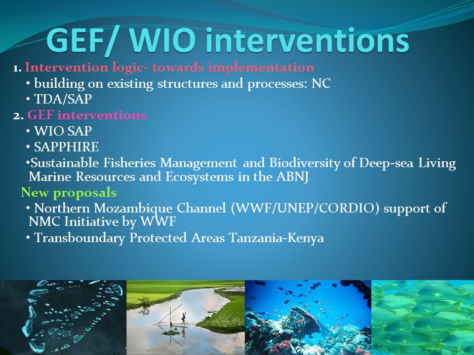 GEF/ WIO interventions 1.