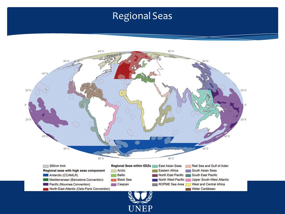 Regional Seas