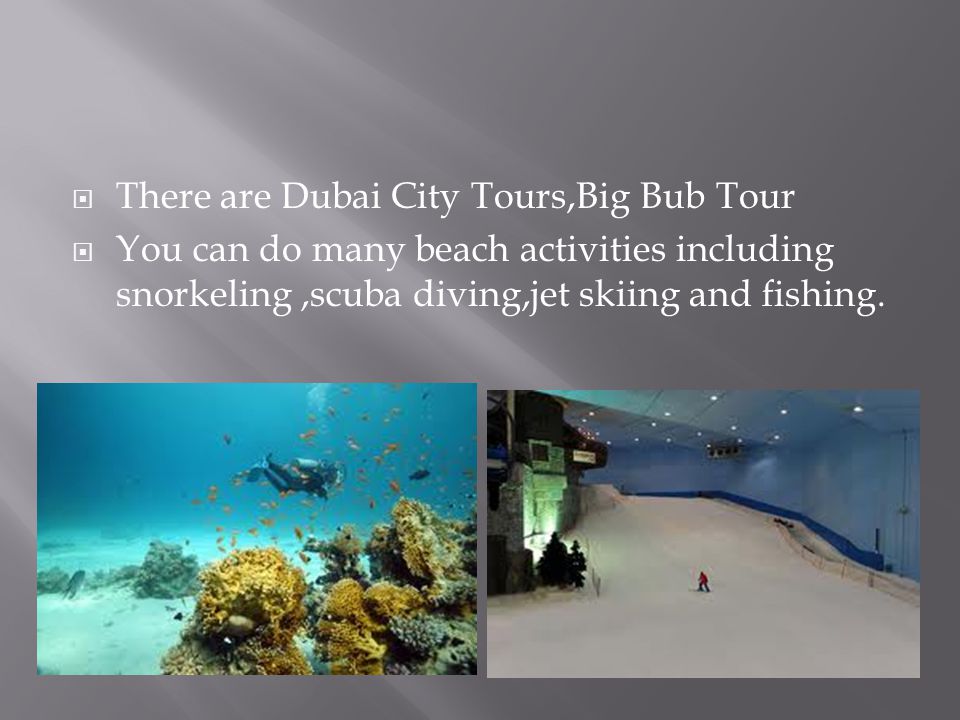  There are Dubai City Tours,Big Bub Tour  You can do many beach activities including snorkeling,scuba diving,jet skiing and fishing.