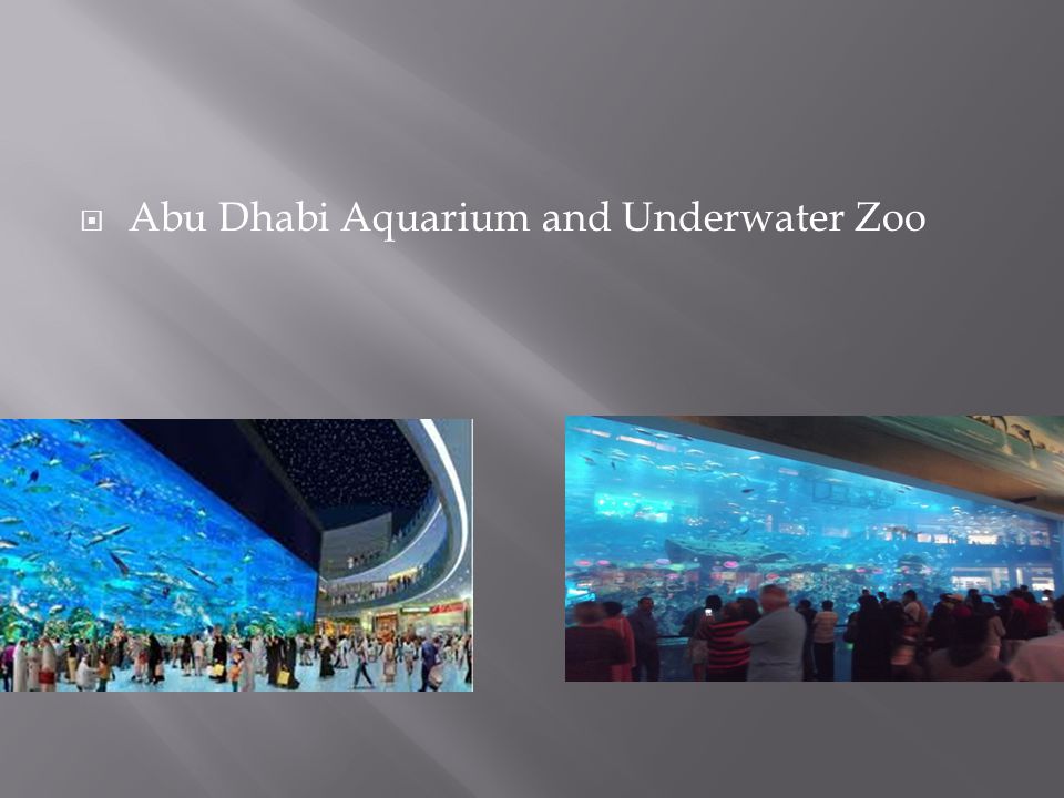  Abu Dhabi Aquarium and Underwater Zoo