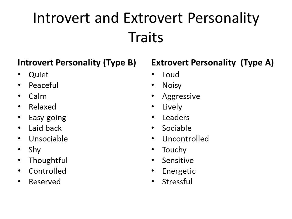 Essay Personality Test