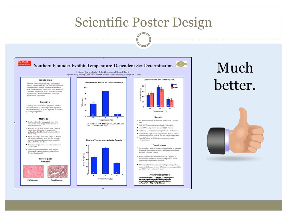Scientific Poster Design Much better.