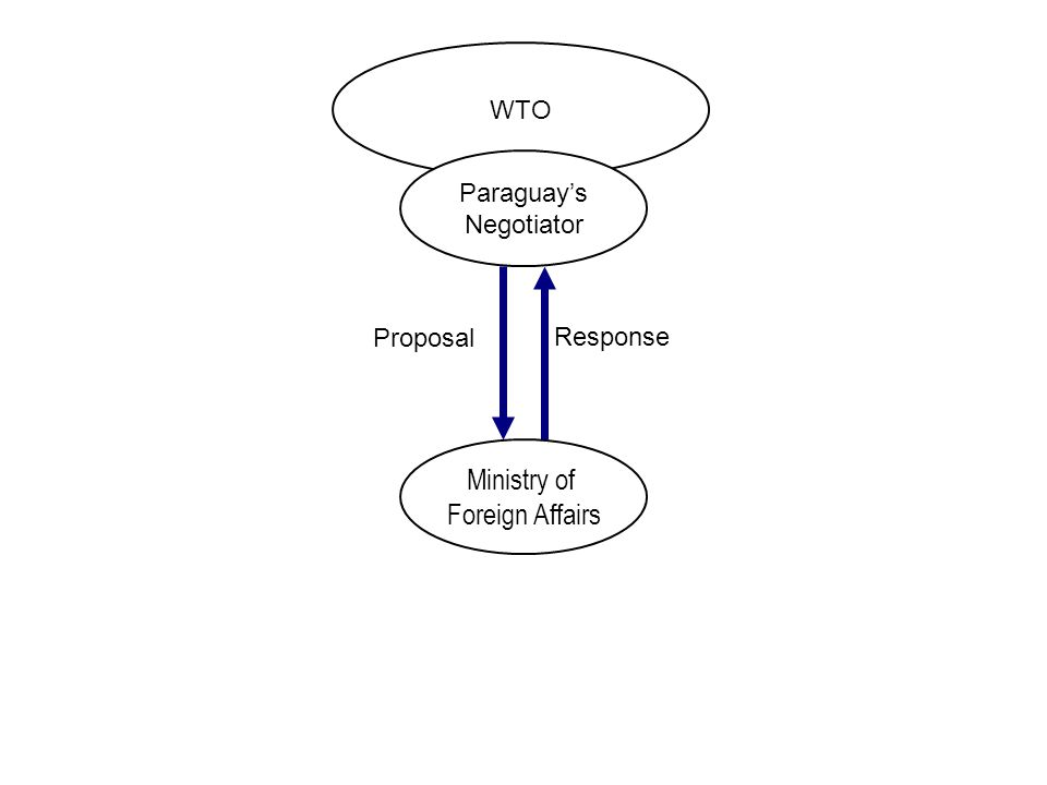 WTO Paraguay’s Negotiator Ministry of Foreign Affairs Proposal Response