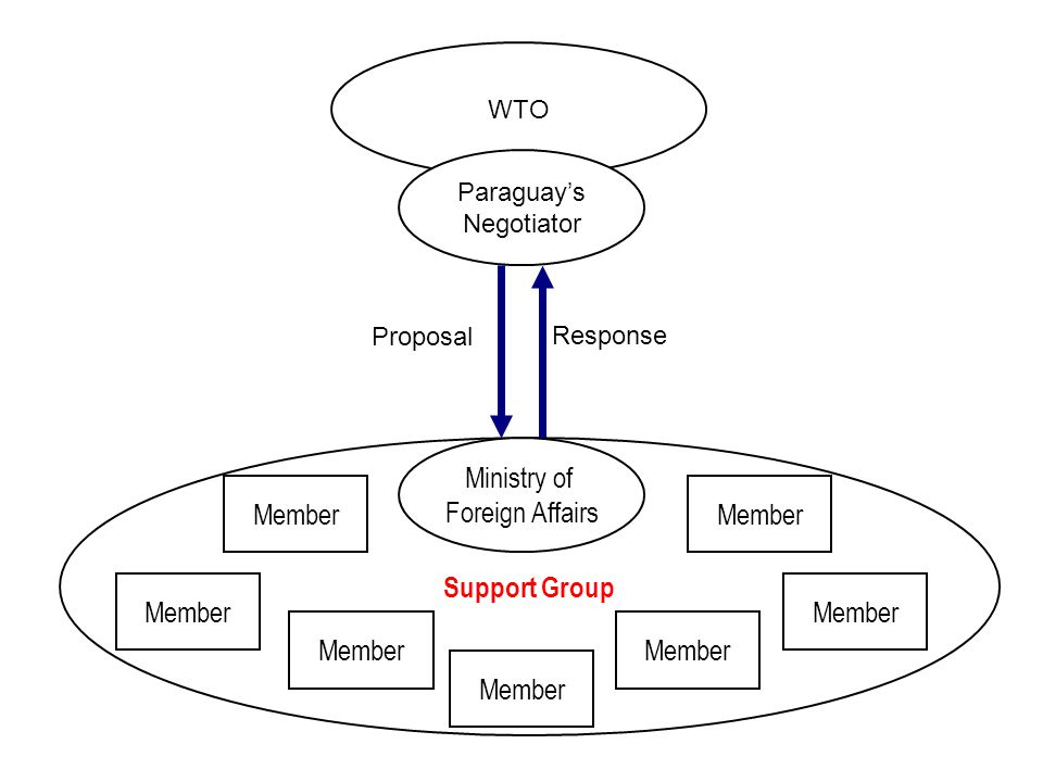 Support Group WTO Paraguay’s Negotiator Proposal Response Ministry of Foreign Affairs Member
