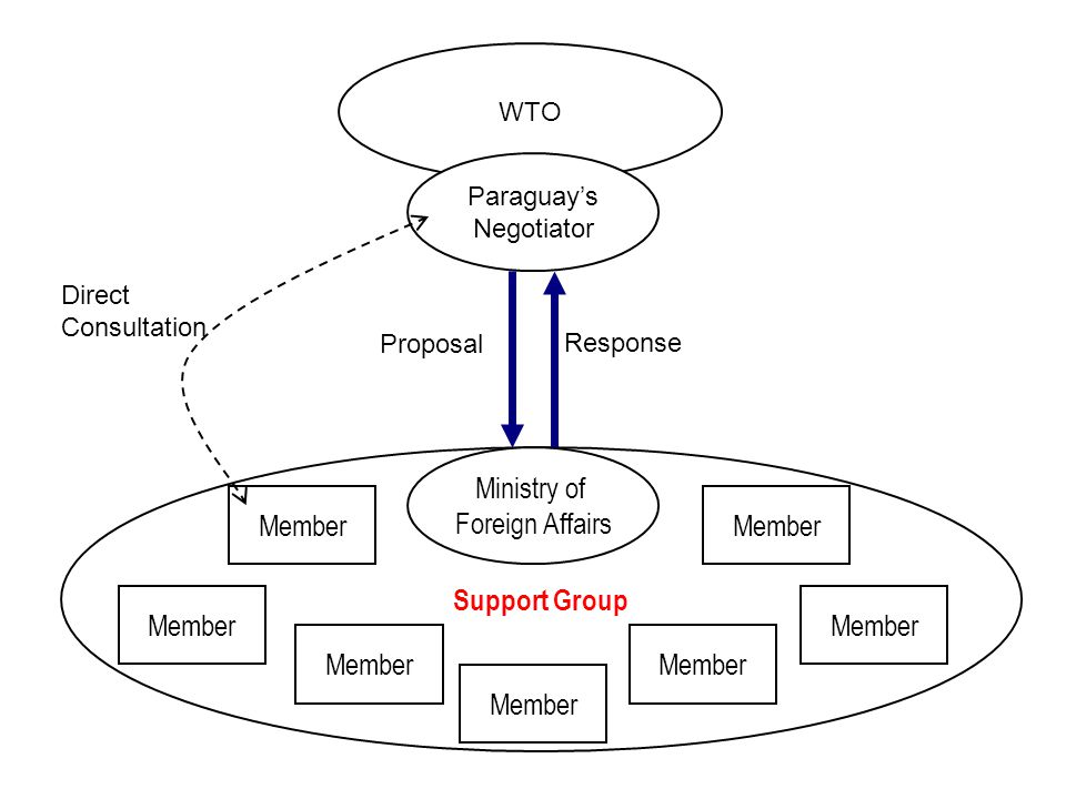 Support Group WTO Paraguay’s Negotiator Proposal Response Ministry of Foreign Affairs Member Direct Consultation