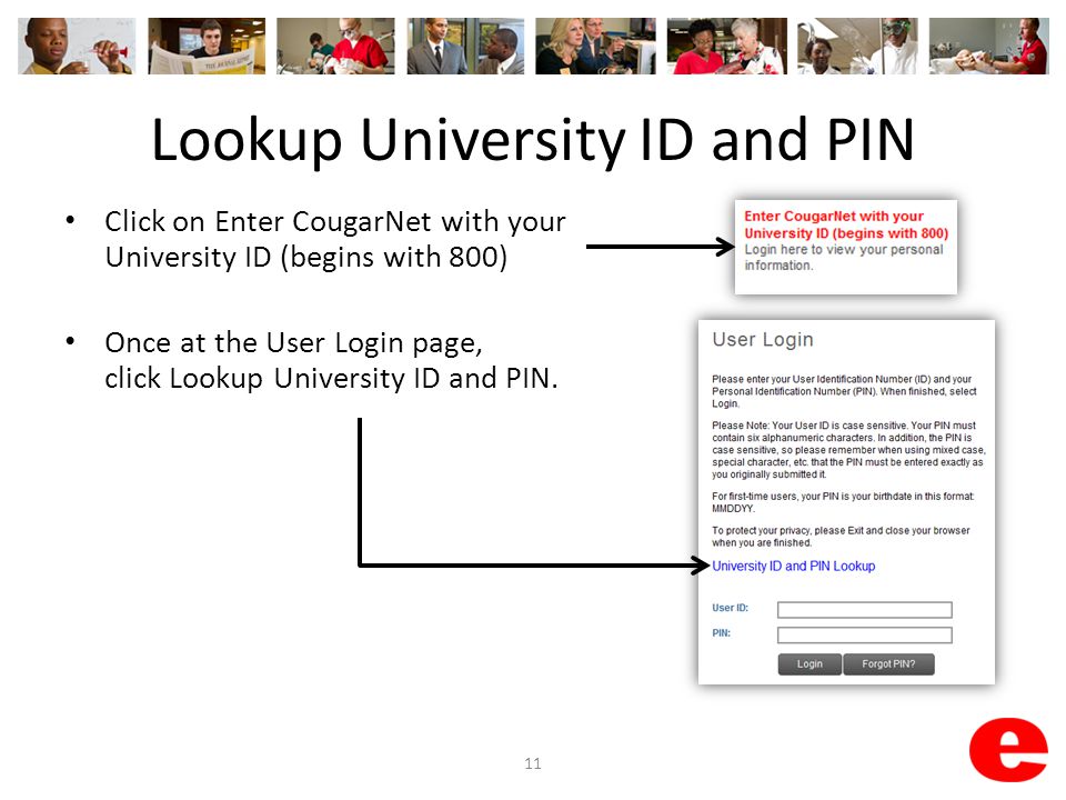 Lookup University ID and PIN Click on Enter CougarNet with your University ID (begins with 800) Once at the User Login page, click Lookup University ID and PIN.