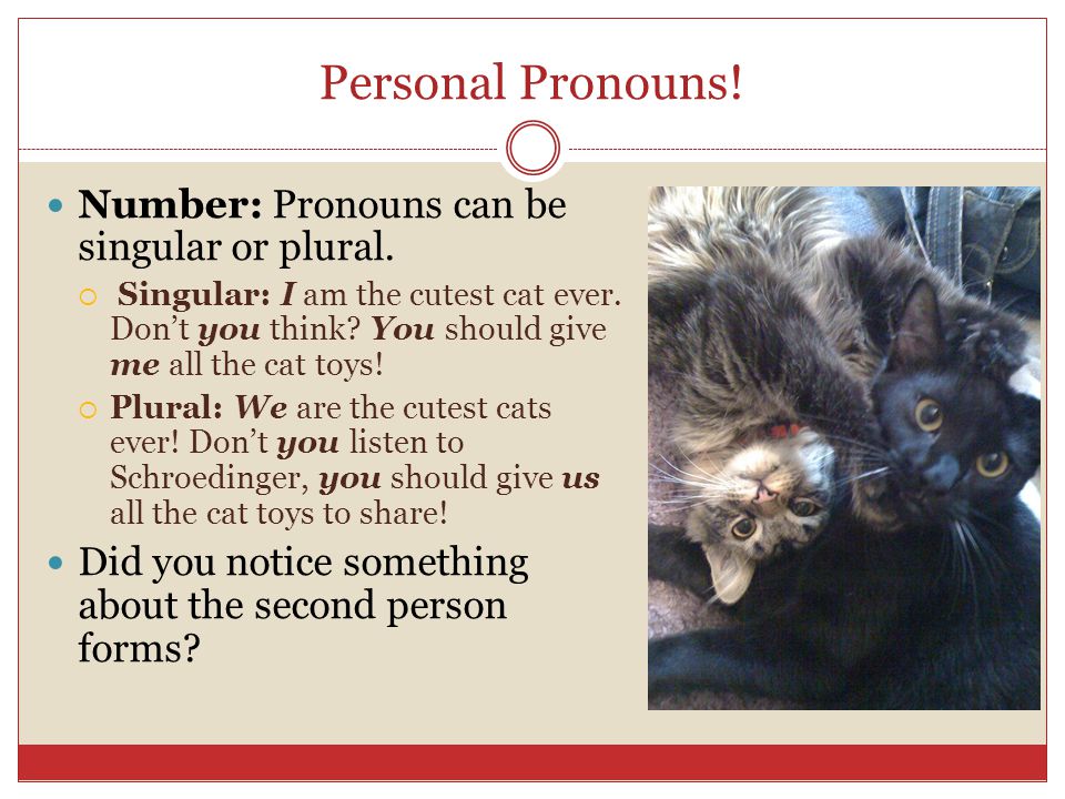 Personal Pronouns. Number: Pronouns can be singular or plural.