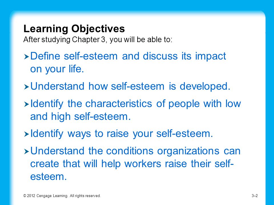 Learning Objectives After studying Chapter 3, you will be able to: © 2012 Cengage Learning.