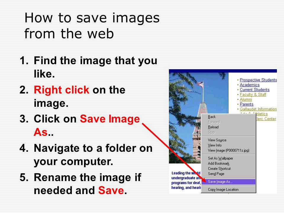 How to save images from the web 1.Find the image that you like.