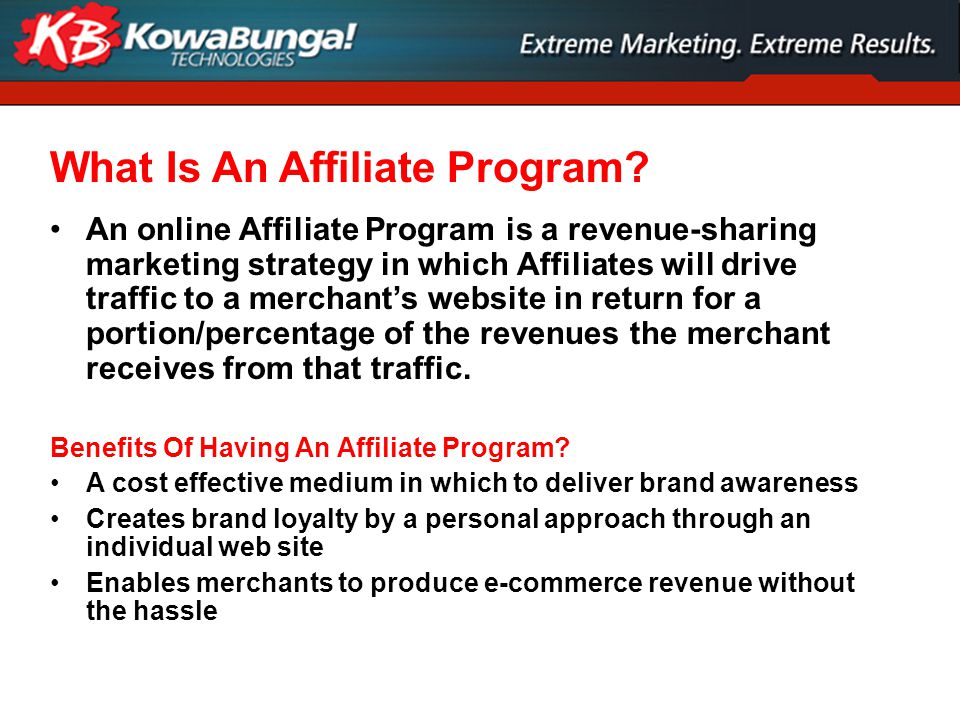 What Is An Affiliate Program.