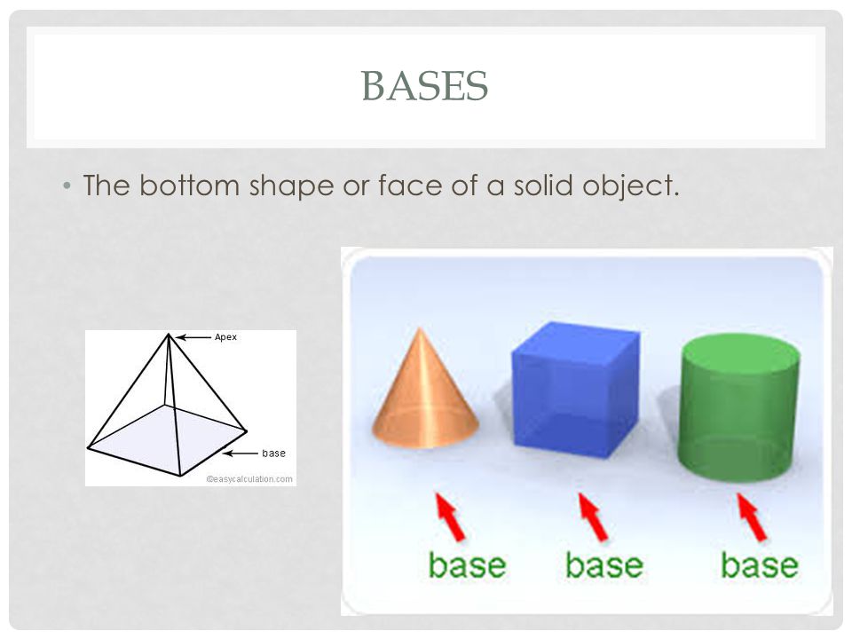 BASES The bottom shape or face of a solid object.