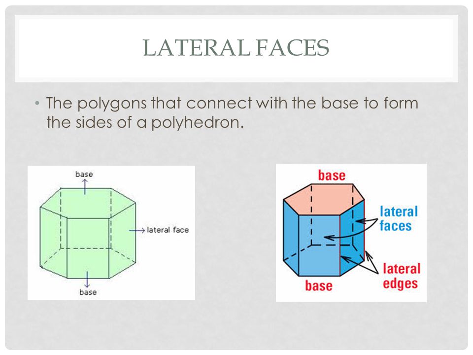 LATERAL FACES The polygons that connect with the base to form the sides of a polyhedron.