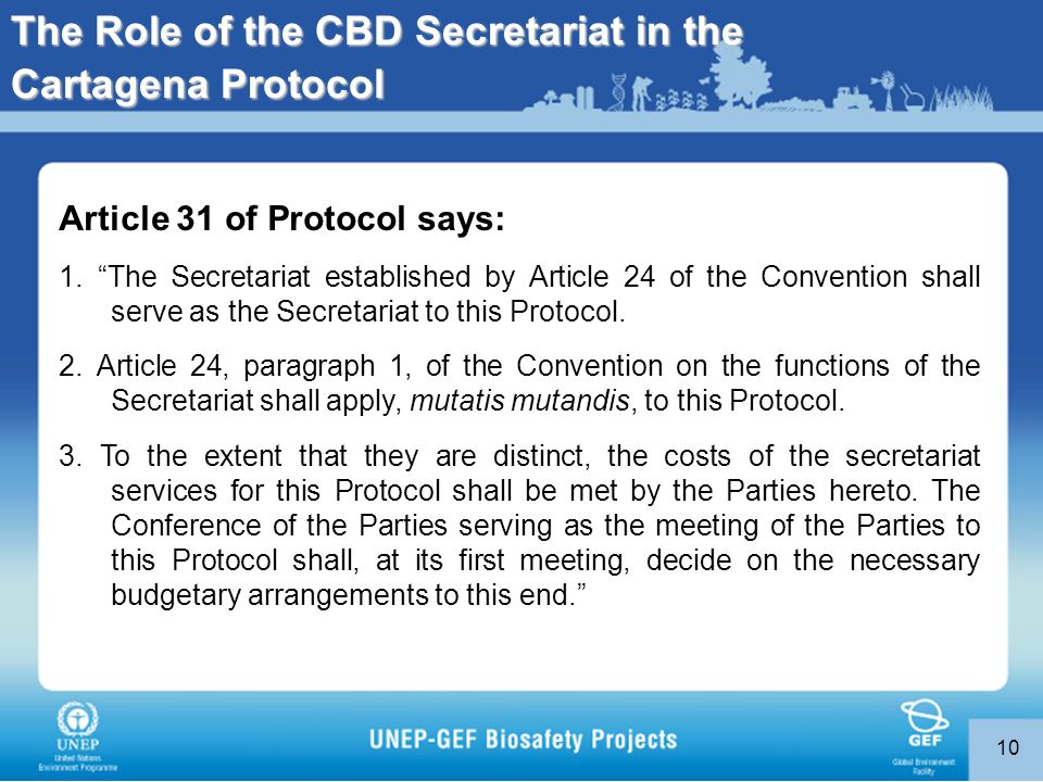 10 Article 31 of Protocol says: 1.