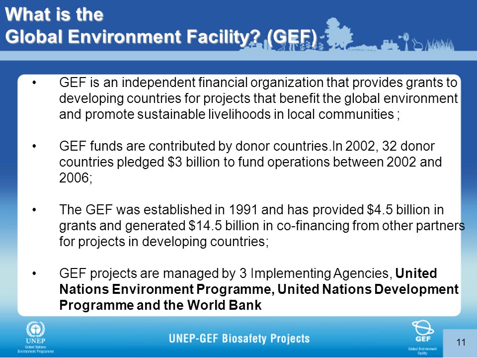 11 GEF is an independent financial organization that provides grants to developing countries for projects that benefit the global environment and promote sustainable livelihoods in local communities ; GEF funds are contributed by donor countries.In 2002, 32 donor countries pledged $3 billion to fund operations between 2002 and 2006; The GEF was established in 1991 and has provided $4.5 billion in grants and generated $14.5 billion in co-financing from other partners for projects in developing countries; GEF projects are managed by 3 Implementing Agencies, United Nations Environment Programme, United Nations Development Programme and the World Bank What is the Global Environment Facility.