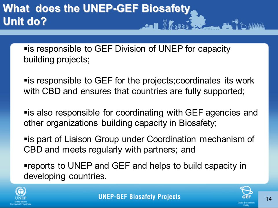 14  is responsible to GEF Division of UNEP for capacity building projects;  is responsible to GEF for the projects;coordinates its work with CBD and ensures that countries are fully supported;  is also responsible for coordinating with GEF agencies and other organizations building capacity in Biosafety;  is part of Liaison Group under Coordination mechanism of CBD and meets regularly with partners; and  reports to UNEP and GEF and helps to build capacity in developing countries.