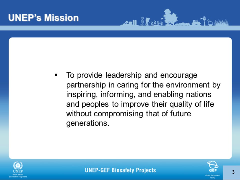 3 UNEP’s Mission  To provide leadership and encourage partnership in caring for the environment by inspiring, informing, and enabling nations and peoples to improve their quality of life without compromising that of future generations.