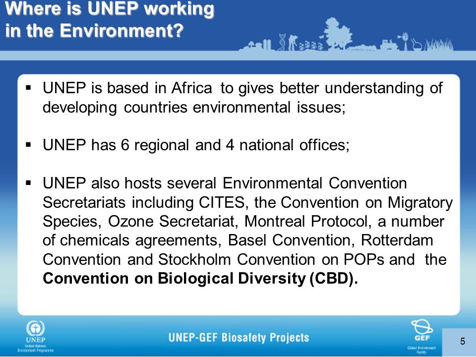5 Where is UNEP working in the Environment.