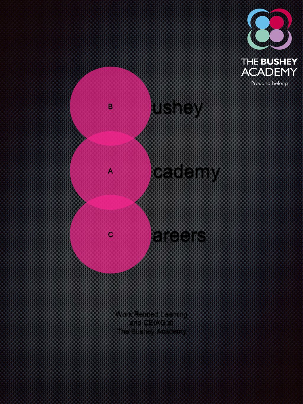 B A C ushey cademy areers Work Related Learning and CEIAG at The Bushey Academy
