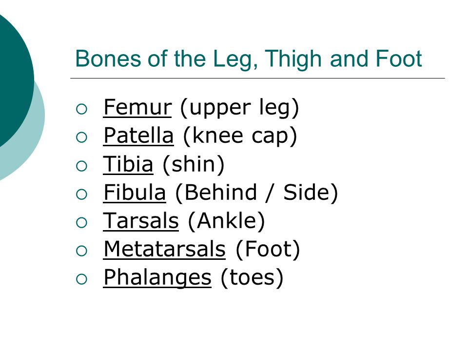 Bones of the Leg, Thigh and Foot  Femur (upper leg)  Patella (knee cap)  Tibia (shin)  Fibula (Behind / Side)  Tarsals (Ankle)  Metatarsals (Foot)  Phalanges (toes)