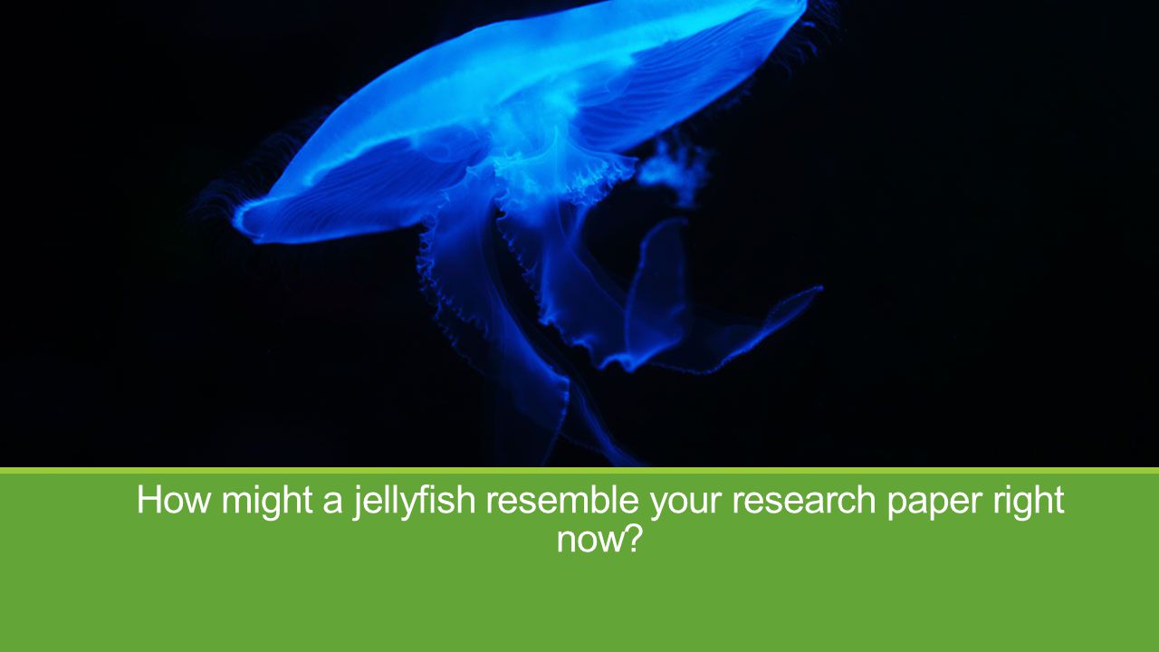 Marine Biology Research Paper