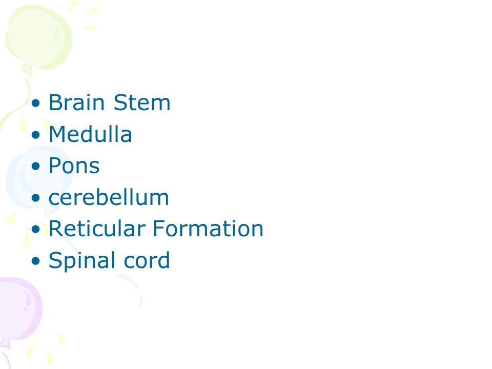 Brain Stem Medulla Pons cerebellum Reticular Formation Spinal cord