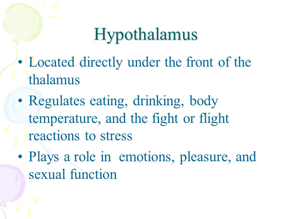 Hypothalamus Located directly under the front of the thalamus Regulates eating, drinking, body temperature, and the fight or flight reactions to stress Plays a role in emotions, pleasure, and sexual function