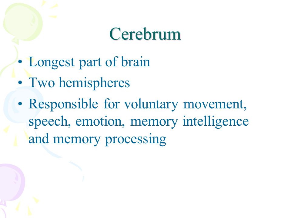 Cerebrum Longest part of brain Two hemispheres Responsible for voluntary movement, speech, emotion, memory intelligence and memory processing