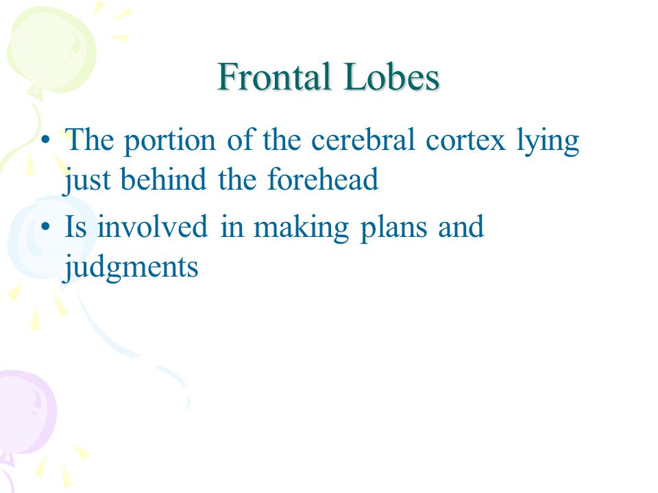 Frontal Lobes The portion of the cerebral cortex lying just behind the forehead Is involved in making plans and judgments