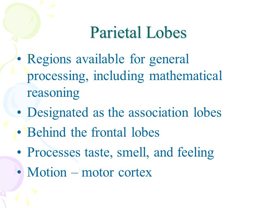 Parietal Lobes Regions available for general processing, including mathematical reasoning Designated as the association lobes Behind the frontal lobes Processes taste, smell, and feeling Motion – motor cortex