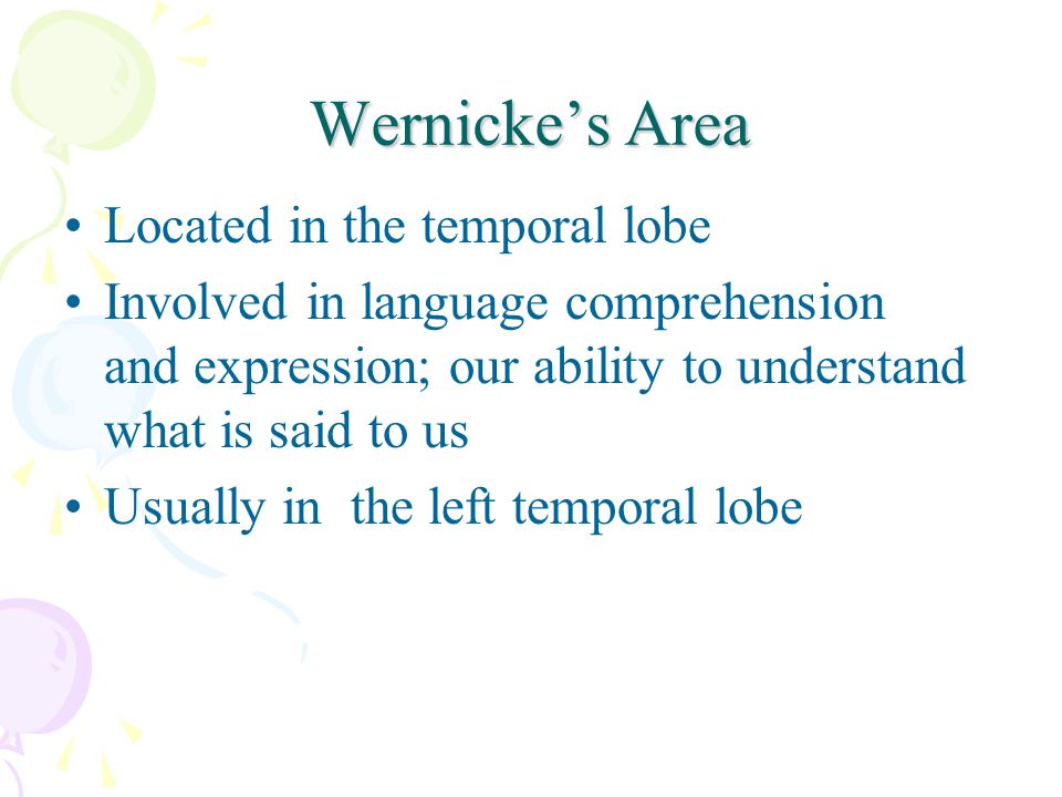 Wernicke’s Area Located in the temporal lobe Involved in language comprehension and expression; our ability to understand what is said to us Usually in the left temporal lobe