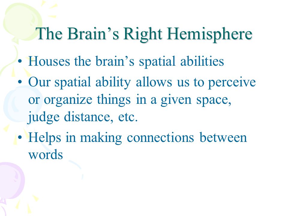 The Brain’s Right Hemisphere Houses the brain’s spatial abilities Our spatial ability allows us to perceive or organize things in a given space, judge distance, etc.