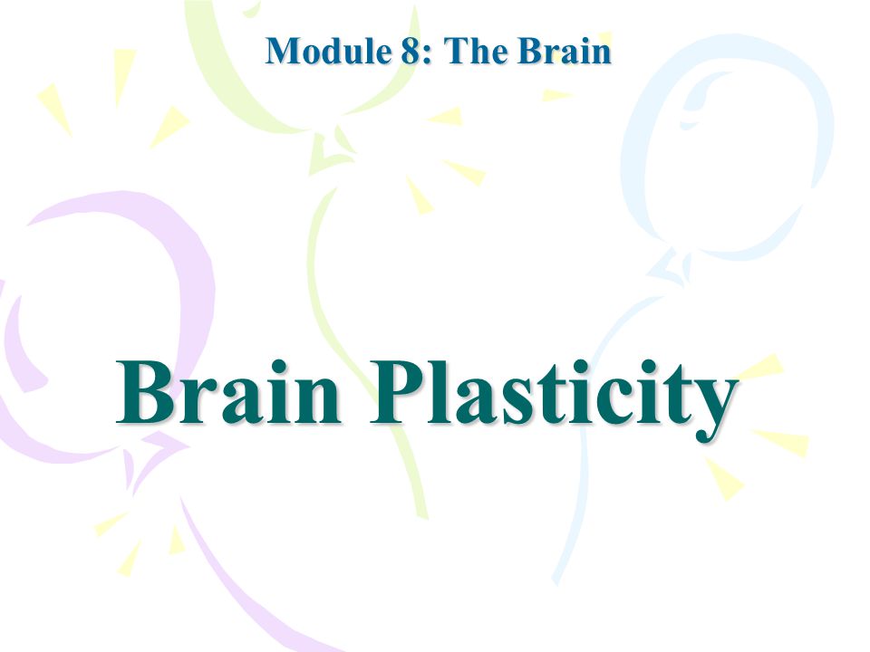 Brain Plasticity Module 8: The Brain