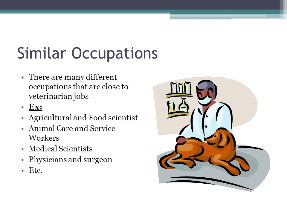 Similar Occupations There are many different occupations that are close to veterinarian jobs Ex: Agricultural and Food scientist Animal Care and Service Workers Medical Scientists Physicians and surgeon Etc.