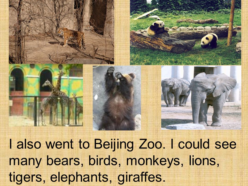 I also went to Beijing Zoo.